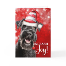 Schnauzer Hund entfalte die Freude Weihnachten
