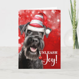 Schnauzer Hund entfalte die Freude Weihnachten