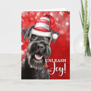 Schnauzer Hund entfalte die Freude Weihnachten