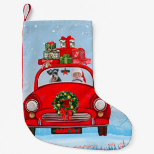 Schnauzer Hund in Auto mit dem Weihnachtsmann Kleiner Weihnachtsstrumpf
