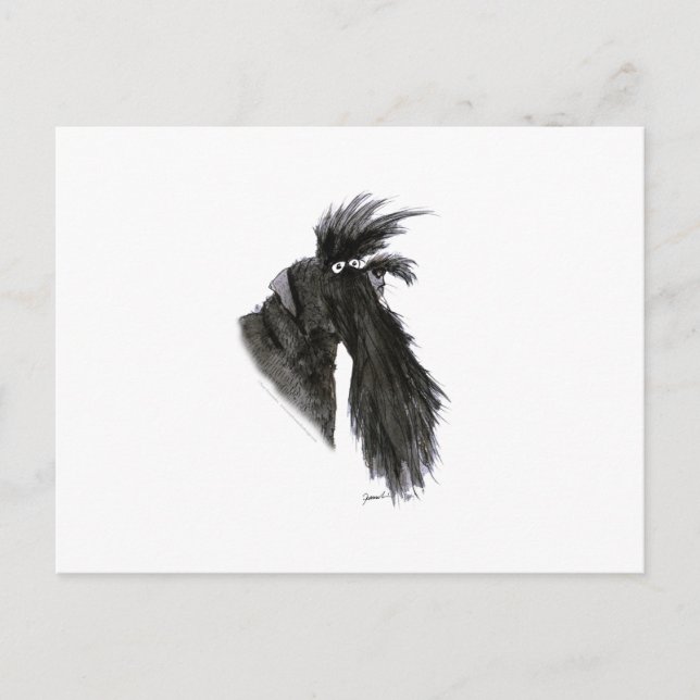 Schnauzer-Hund, tony fernandes Postkarte (Vorderseite)