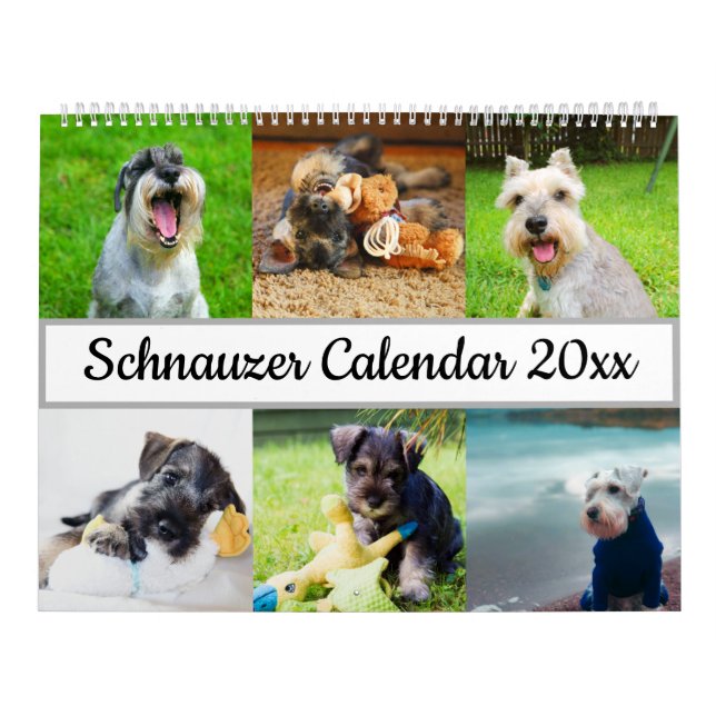 Schnauzer Kalender (Titelbild)