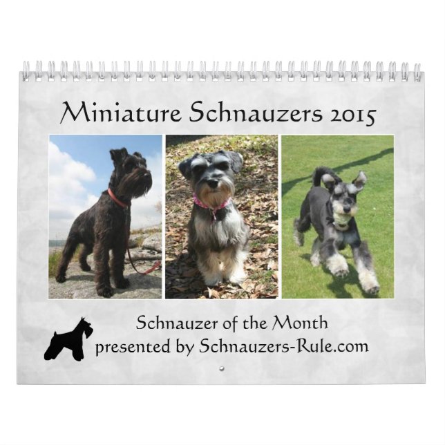 Schnauzer-Kalender 2016 Kalender (Titelbild)