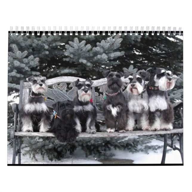 Schnauzer-Kalender 2018 Kalender (Titelbild)