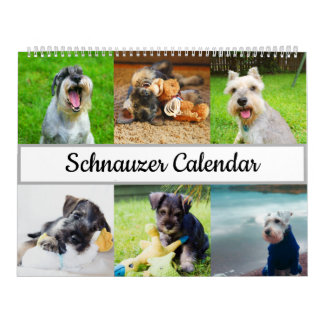 Schnauzer-Kalender Kalender