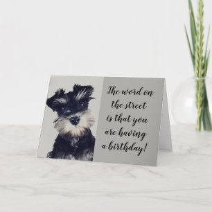SCHNAUZER KANN DIE NACHRICHT NICHT GLAUBEN **50?** KARTE