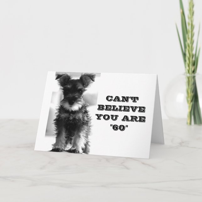SCHNAUZER KANN NICHT GLAUBEN, DASS SIE SICH ALS *6 KARTE (Vorderseite)