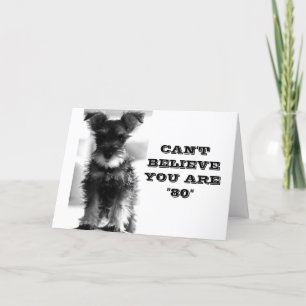SCHNAUZER KANN NICHT GLAUBEN, DASS SIE SICH AM GEB KARTE