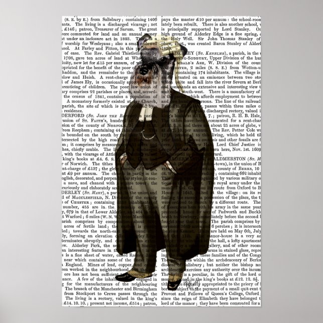 Schnauzer Lawyer Poster (Vorne)