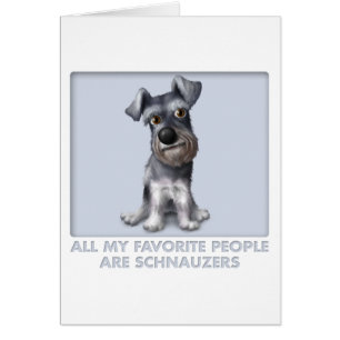 Schnauzer-Liebling