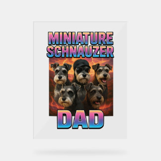 Schnauzer miniature