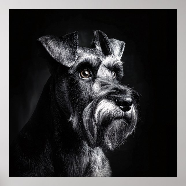 Schnauzer Monochrome Portrait Poster (Vorne)