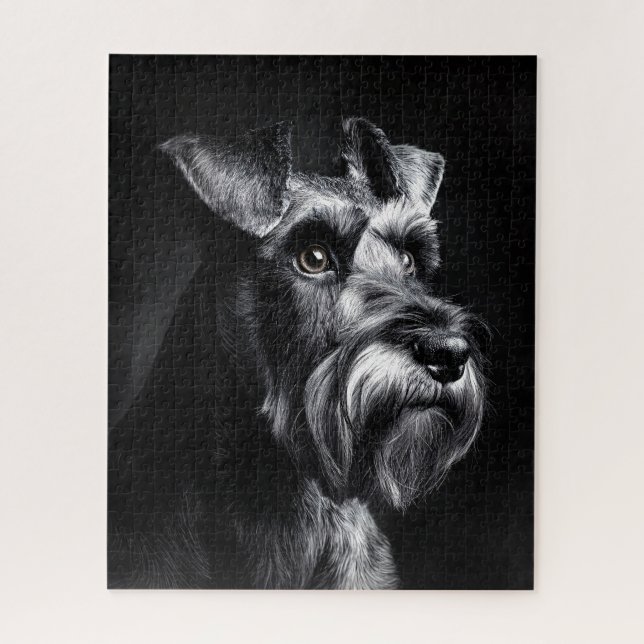 Schnauzer Monochromes Porträt (Vertikal)