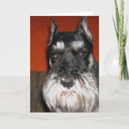 Schnauzer Note Card Karte