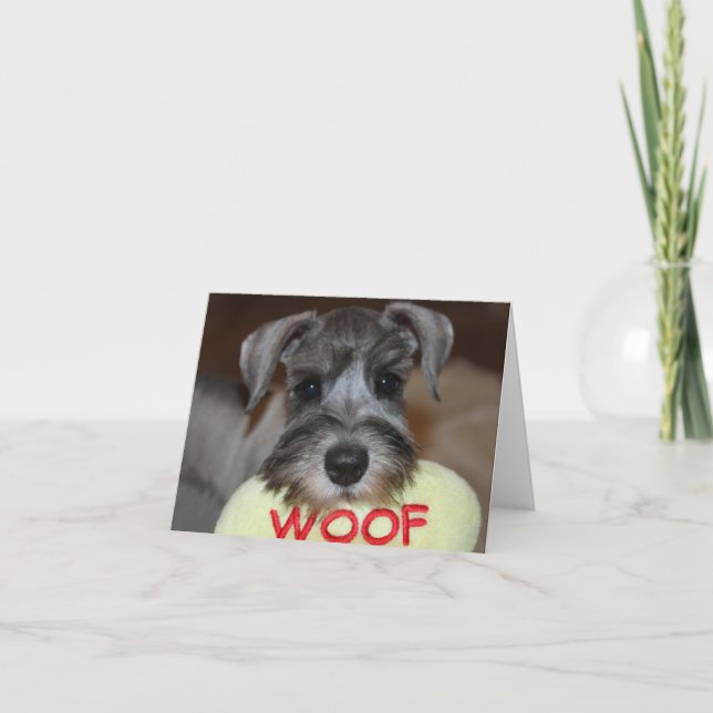 Schnauzer Notecards Karte (Vorderseite)