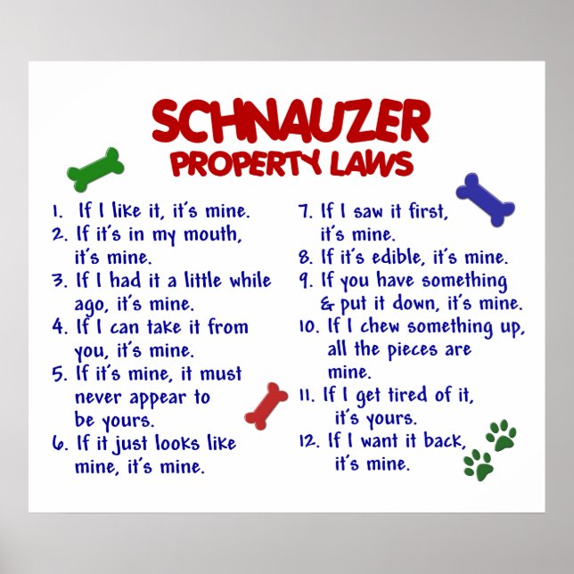 SCHNAUZER PL2 POSTER (Vorne)