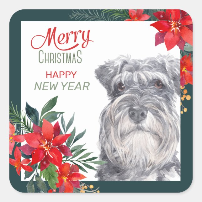 Schnauzer Poinsettia Border Weihnachtssticker Quadratischer Aufkleber (Vorderseite)