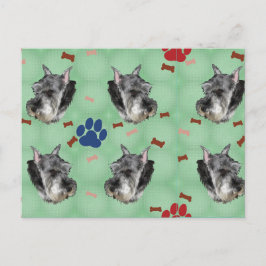 Schnauzer Portrait Postkarte