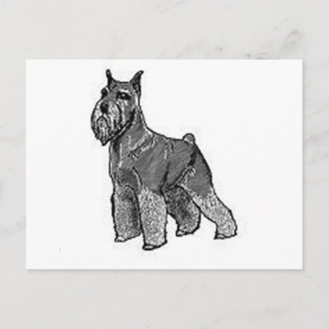 Schnauzer Postkarte (Vorderseite)