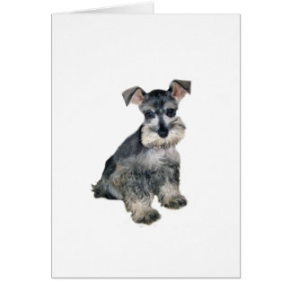 Schnauzer Pup 3.png