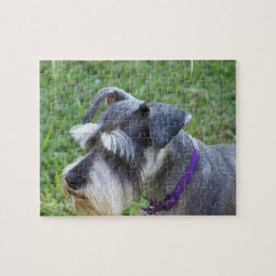 Schnauzer-Puzzlespiel