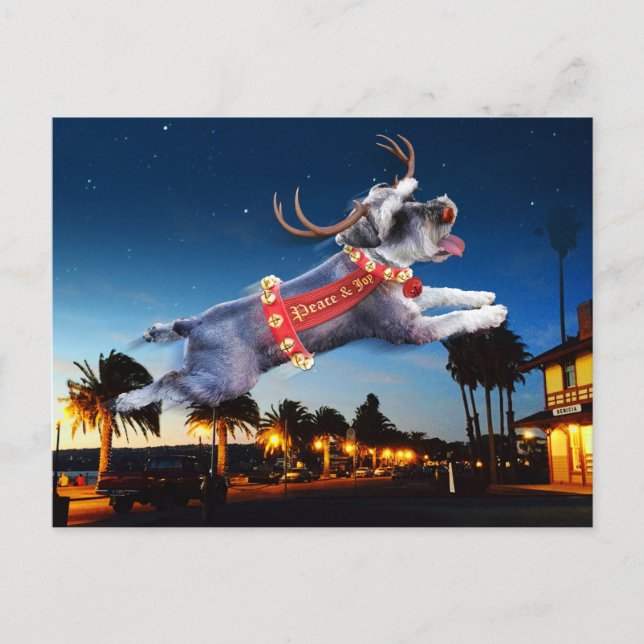 Schnauzer Reindeer Christmas Postcard - Benicia Postkarte (Vorderseite)