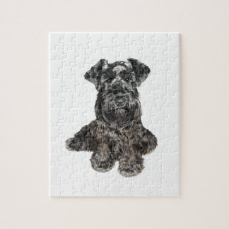 Schnauzer (schwarz)