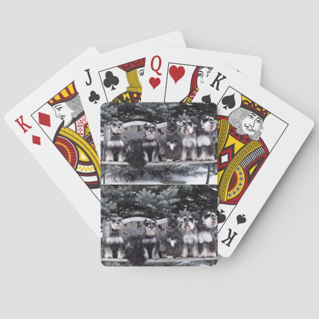 Schnauzer-Spielkarten Spielkarten (Rückseite)