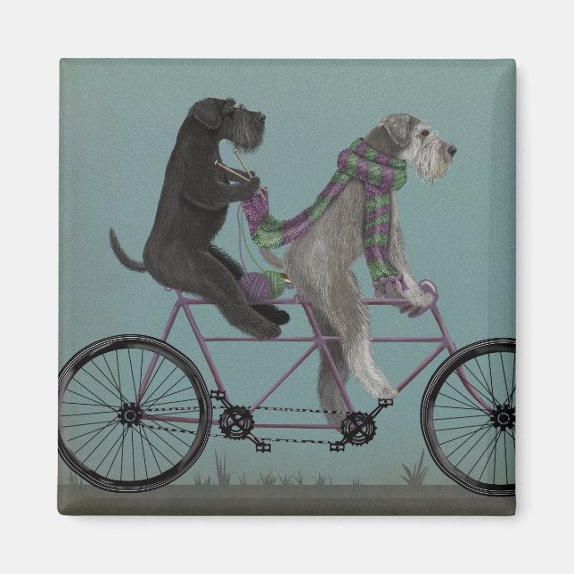 Schnauzer Tandem Magnet (Vorne)