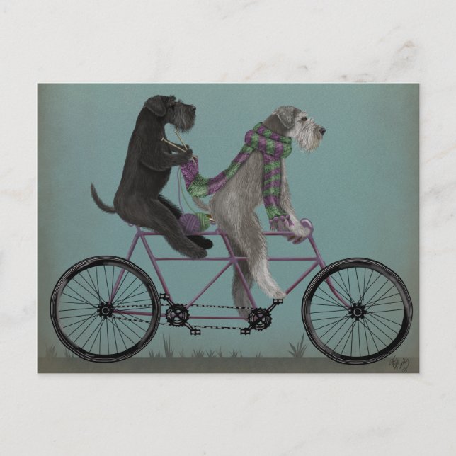 Schnauzer Tandem Postkarte (Vorderseite)