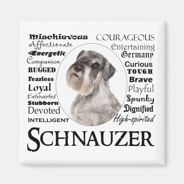 Schnauzer Tracks Magnet (Vorne)