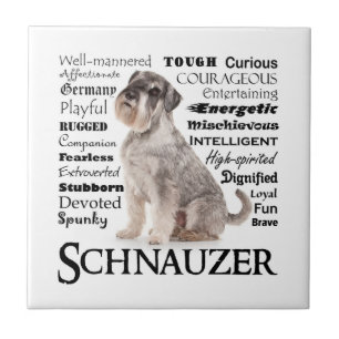 Schnauzer Tracks Tile Fliese