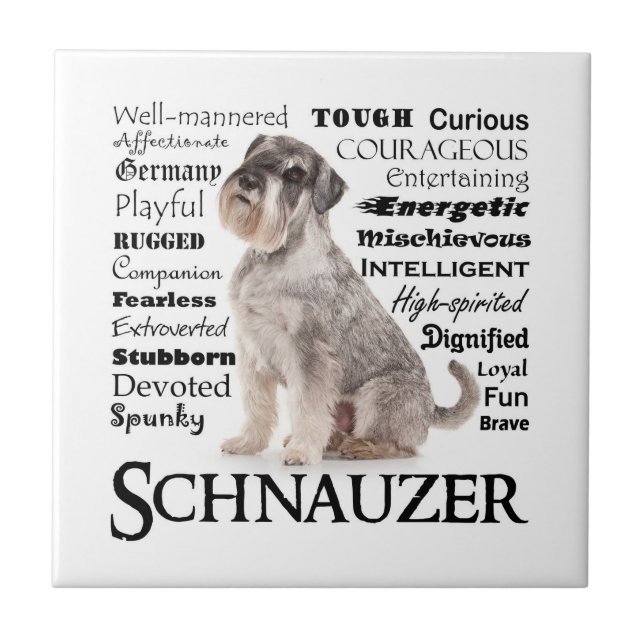 Schnauzer Tracks Tile Fliese (Vorderseite)