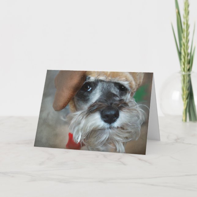 Schnauzer-Weihnachten Feiertagskarte (Vorderseite)