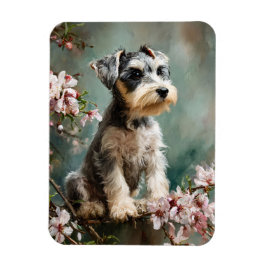 Schnauzer-Welpe Frühlings-Kirschblüten Flexibel Magnet