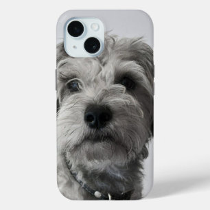 Schnauzer Welpe Portrait Foto Case-Mate iPhone Hülle