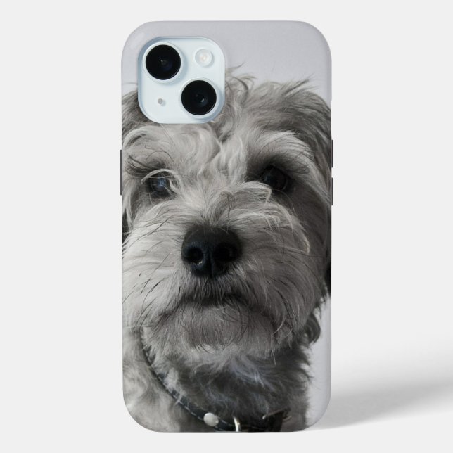 Schnauzer Welpe Portrait Foto Case-Mate iPhone Hülle (Rückseite)