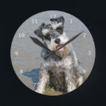 Schnauzerminiaturhundeniedliches Foto am Strand, Runde Wanduhr<br><div class="desc">Schönes Foto eines niedlichen Miniaturschnauzerhundes an der Strandwanduhr.  große Geschenkidee für Hundeliebhaber</div>