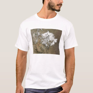 Schneabdeckungen die felsigen Berge in vereinigtem T-Shirt