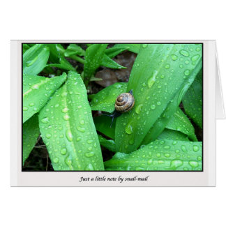 Schnecke