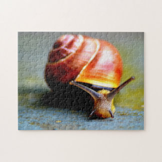 Schnecke
