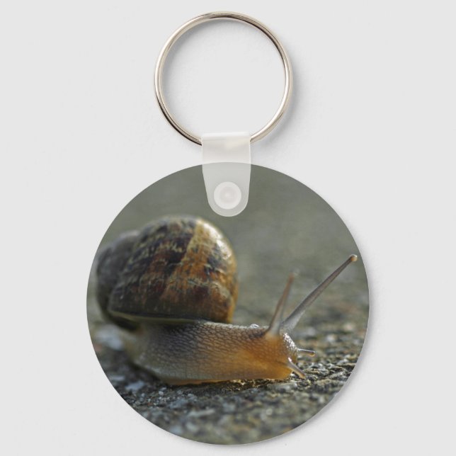 Schnecke 1 Schlüsselanhänger (Vorderseite)