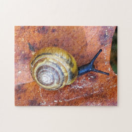 Schnecke auf Blatt-Puzzlespiel