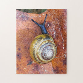 Schnecke auf Blatt-Puzzlespiel