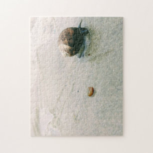 Schnecke auf dem Strand-Puzzlespiel