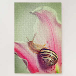 Schnecke auf einer Blume Petal