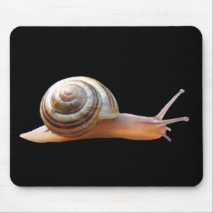 Schnecke auf schwarzem ~ mousepad