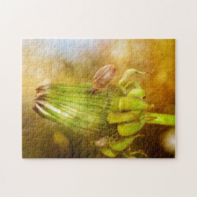 Schnecke auf Wanderung ... (Horizontal)