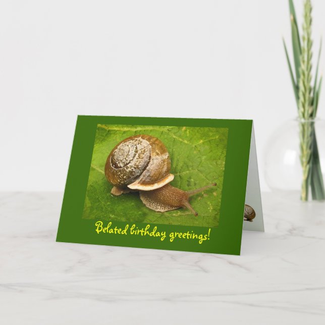 Schnecke Belated Geburtstag Karte (Vorderseite)