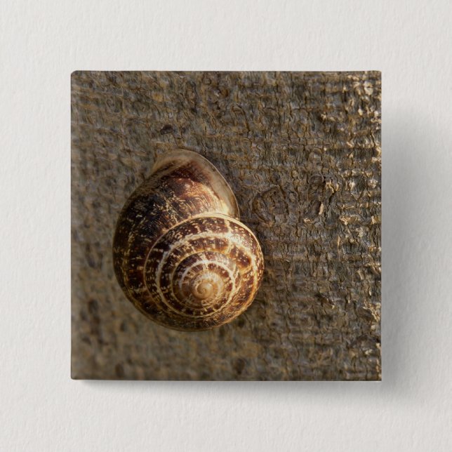 Schnecke Button (Vorderseite)